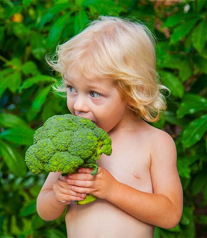 Young child eating raw broccoli