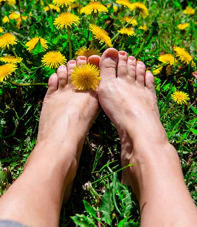 Person with bare feet in a bed of flowers