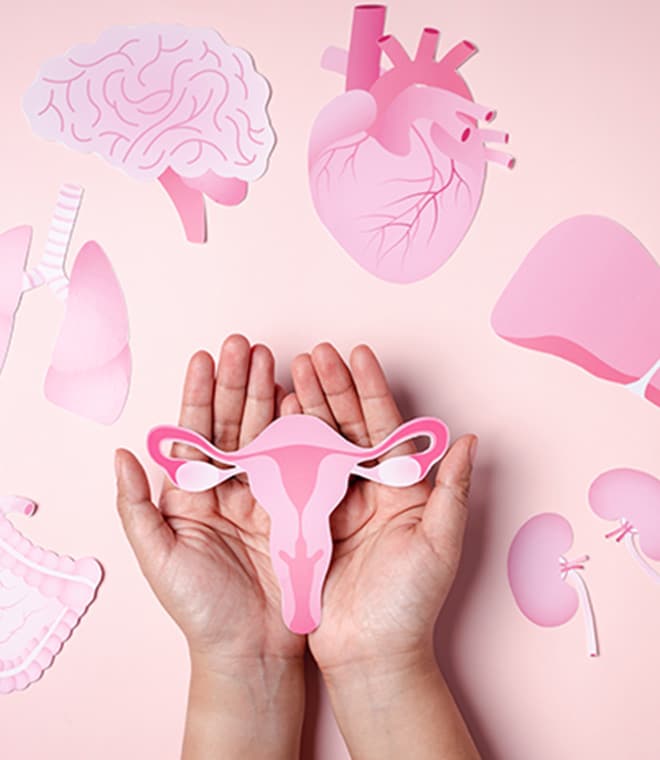 Woman holding paper cutout of female reproductive system on pink background