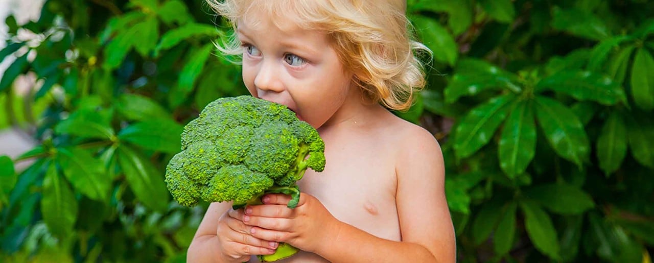 Young child eating raw broccoli